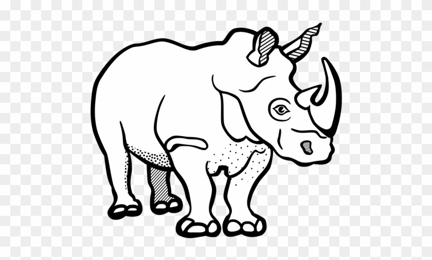 Rhino Outline Drawing At - Rhinoceros Clipart Black And White #1706609