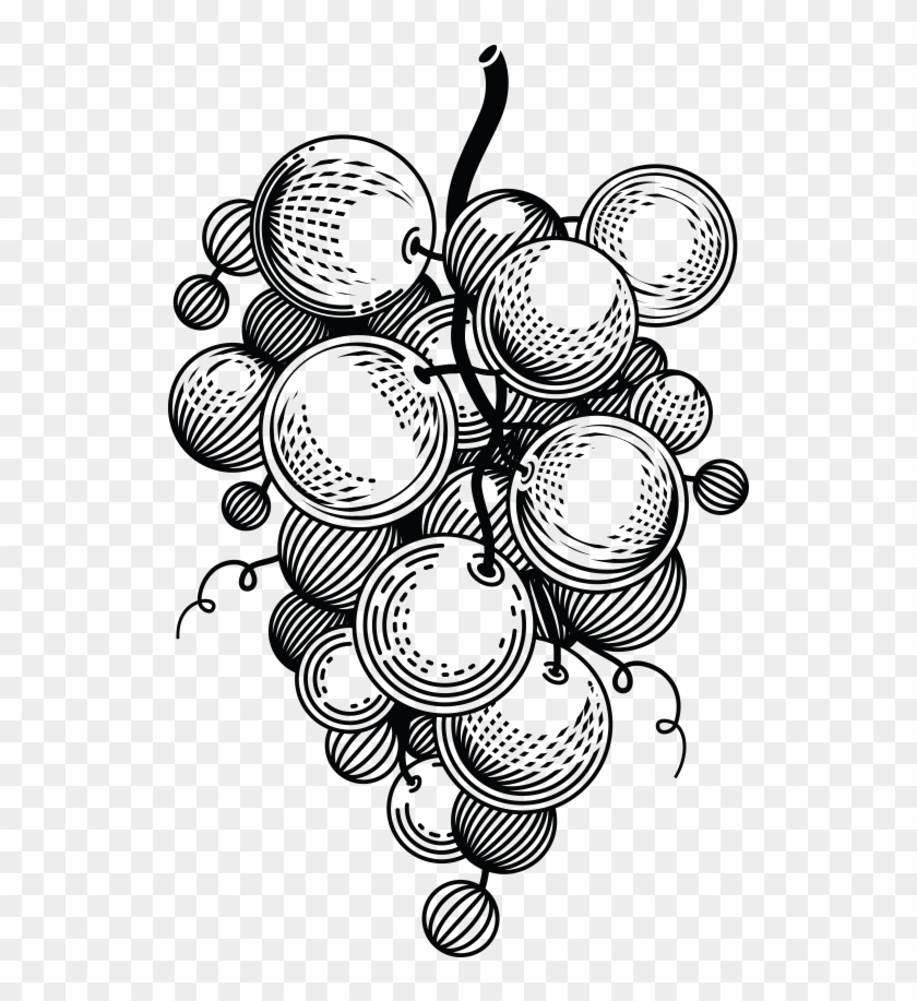 Clipart Mac Elbow Transparent Noodles Png Clipart Png - Grape #1707190