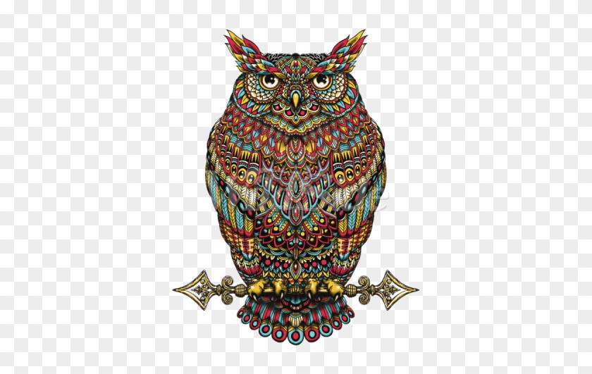 Owl 2 Paisley Pattern - Great Horned Owl #1707309