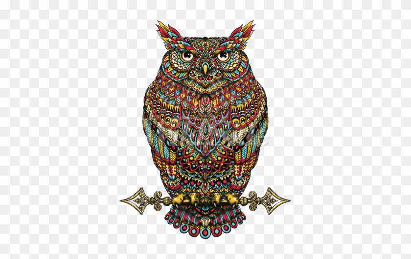 Owl 2 Paisley Pattern - Great Horned Owl #1707309