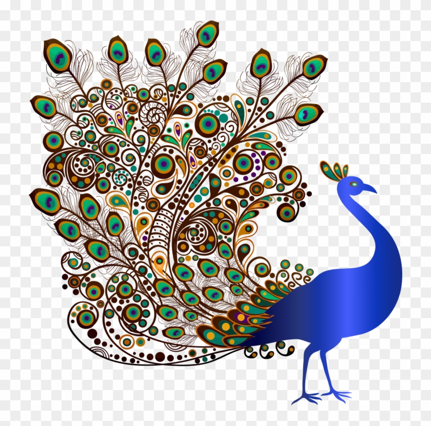 Bird Indian Peafowl - Gambar Bulu Burung Merak #1707379