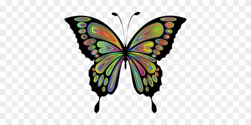 Download Similars - Butterfly Clipart #1707427