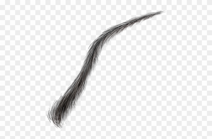 Clip Art Freeuse Download Eyebrow Texture Png For Free - Eyebrow Texture Png #1707475