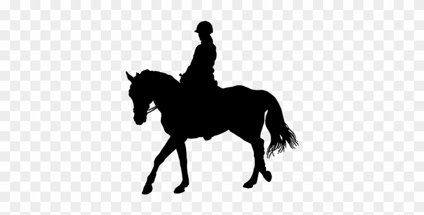 Horse And Rider Silhouette - Stallion #1707527