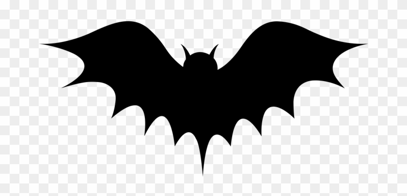 Animal Bat Flying Halloween Mammal Scary S - Chauve Souris Halloween Png #259729