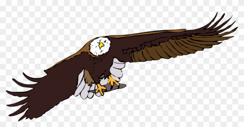 Bald Eagle Vector Graphics - Free Flying Eagle Clipart #259784