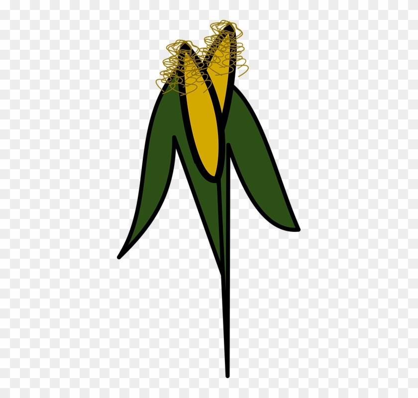 Korn Clipart Transparent - Maize #259823