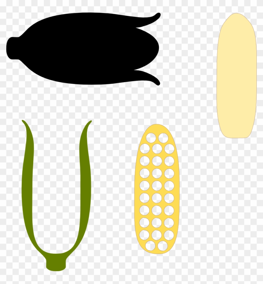 Food, Personal Use, Corncob, - Scalable Vector Graphics #259911