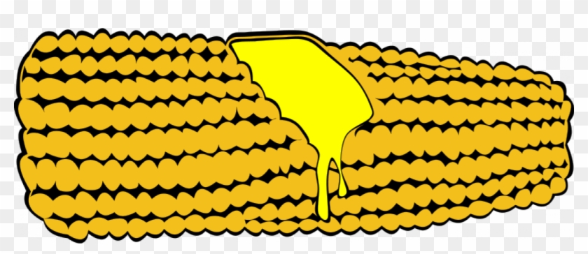 Vector Drawing Of Corn - Clip Art Corn On The Cob #259956