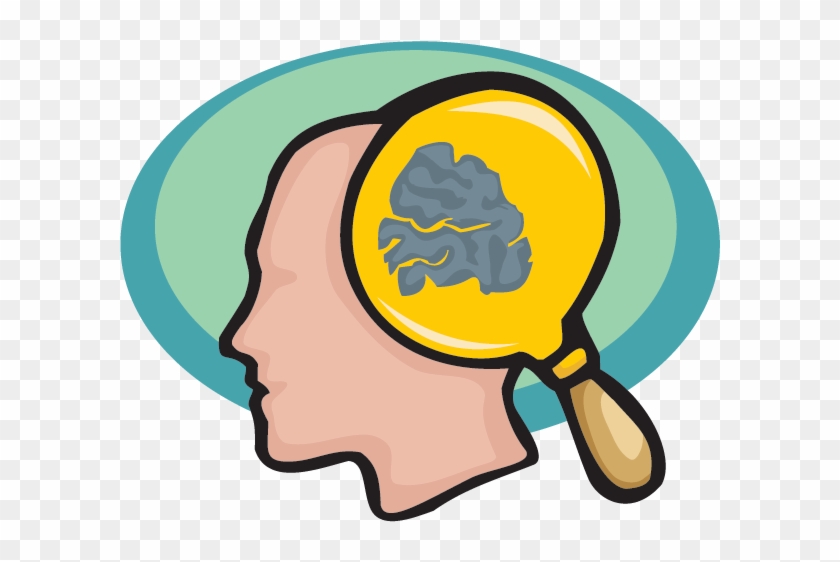 Brain - Brain Clip Art #260554