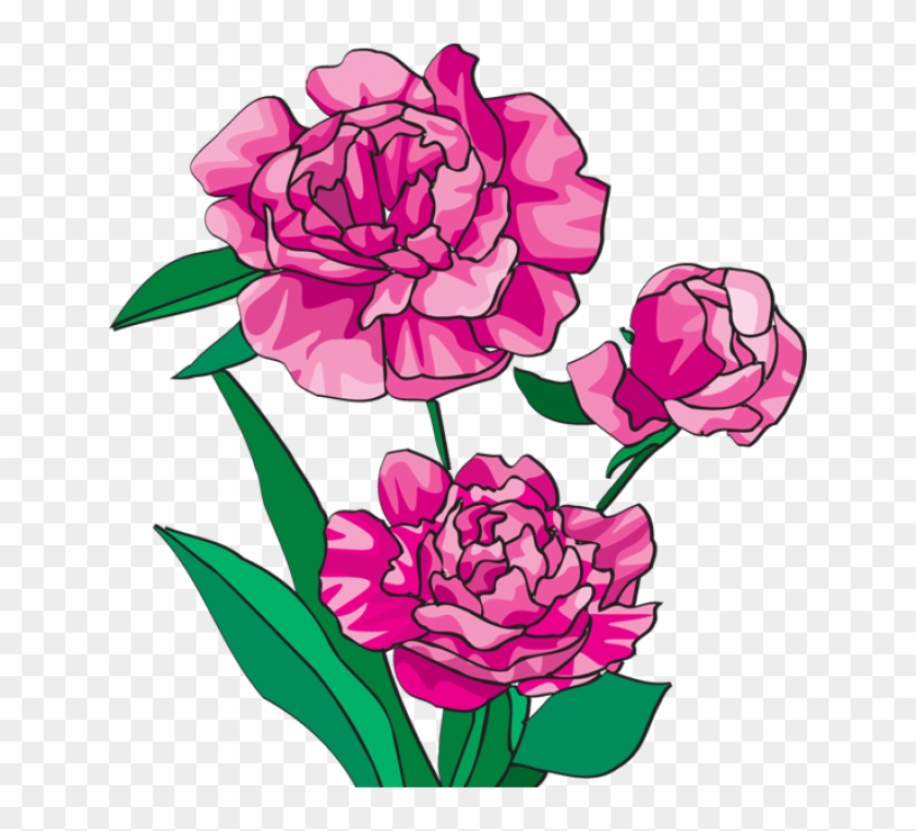 Peonies Cliparts - Peony Clip Art #261719