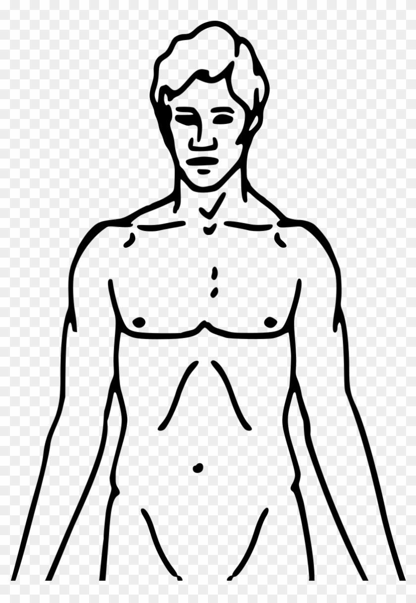 Filepioneer Plaque Man Upper Body As Diagram Template - Side Effects Of Tobacco #262034