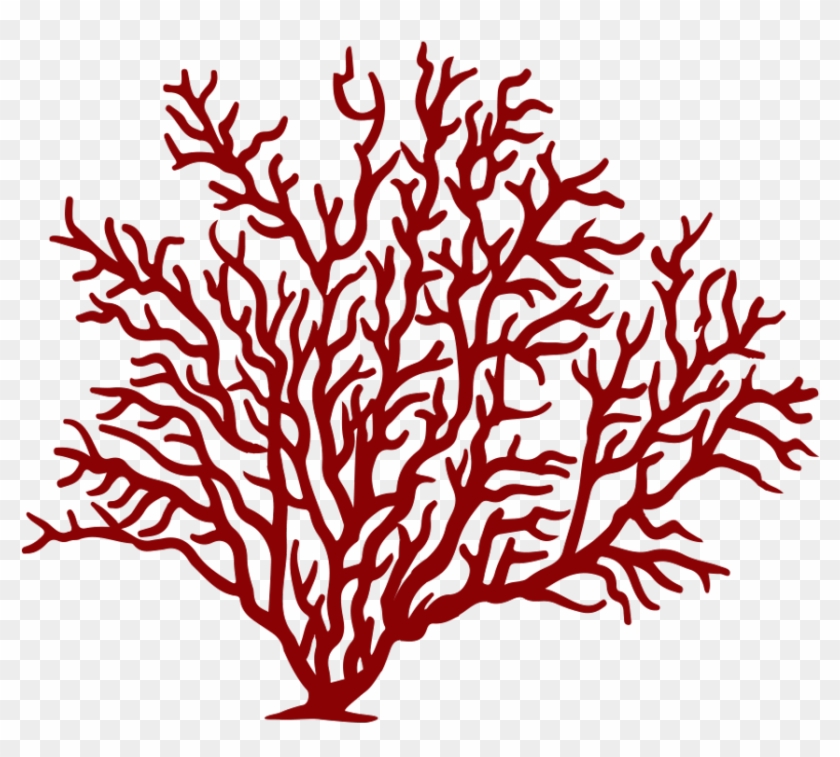 #coral #reef #fish #sea #red #freetoedit - Sea Fan Coral Png #1707632