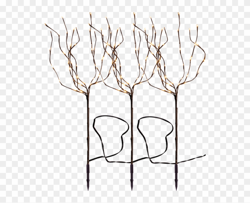 Decorative Tree Tobby Tree - Sketch #1707811