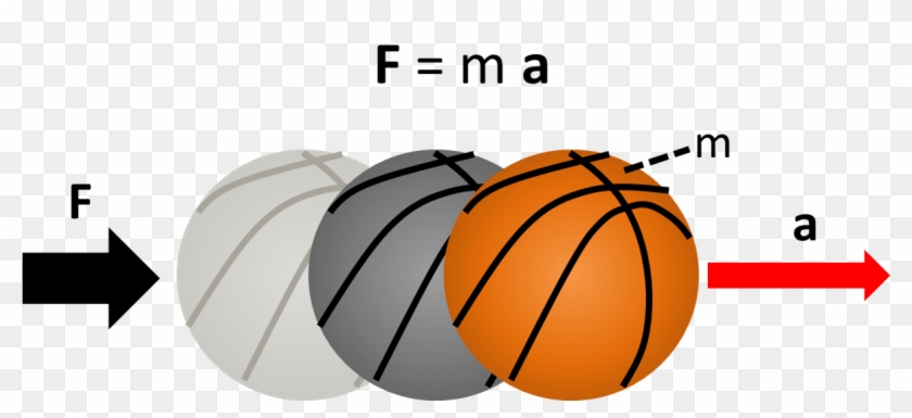The Force Excerted On The Basketball Causes It To Accelerate - Free Body Diagram Of A Basketball #1707922