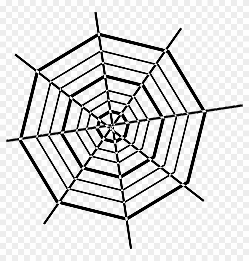 980 X 980 10 - Web Spider #1708073
