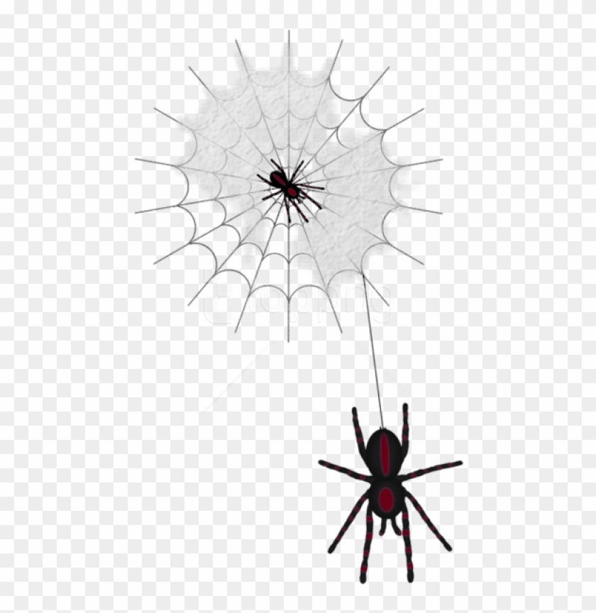 Free Png Download Halloween Web With Spiders Png Images - Паутина Клипарт Прозрачный Фон #1708084