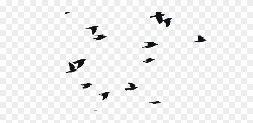 Birds Flying Png Png Image Isolated Objects Textures - Birds Flying Silhouette Png #1708102