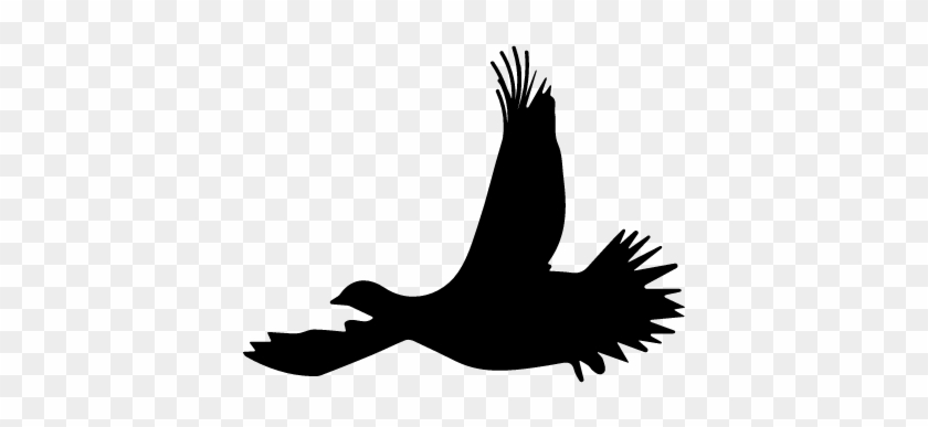 Grouse Bird Flying Silhouette Vector - Flying Grouse Silhouette #1708109