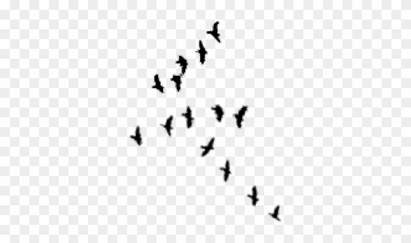 Flying Bird Clipart Silhouette - Silhouette #1708110