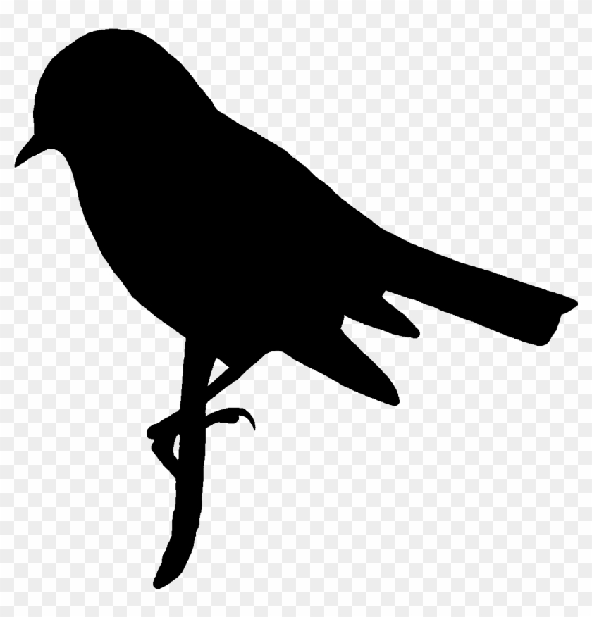 Bird On Branch Silhouette Clip Art - Crow #1708619