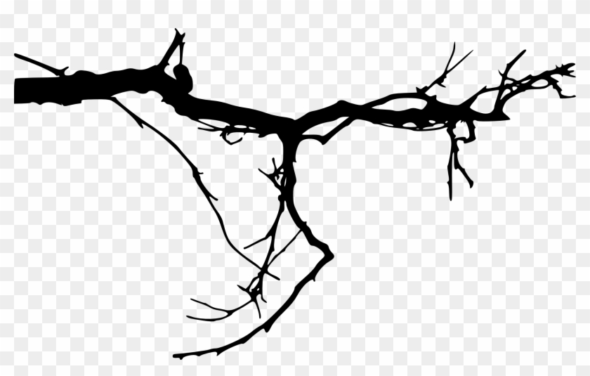Tree Branches Silhouette At Free For - Tree Branches Transparent Background #1708622