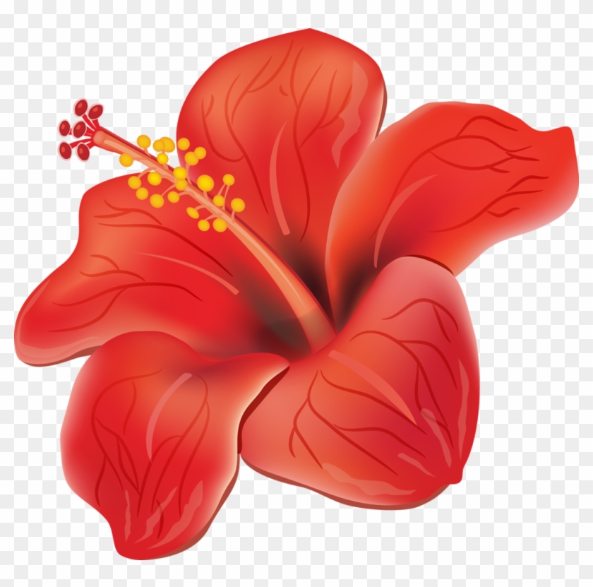 A D Ea F Orig Png Ⓒ - Hawaiano Flor Acuarela Png #1708628