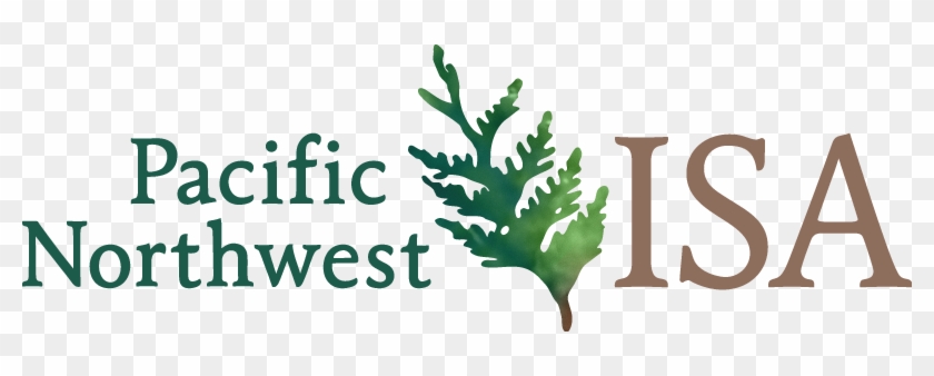 Over 60 Trees Have Been Reviewed Here And We Have Learned - Pnw Isa Logo #1708696