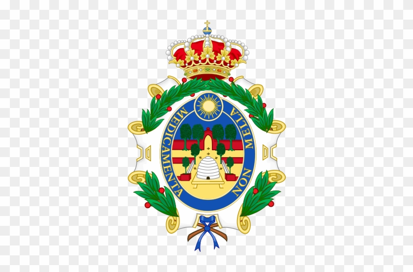 171 × 240 Pixels - Spanish Royal Academy Coat Of Arms #1708730