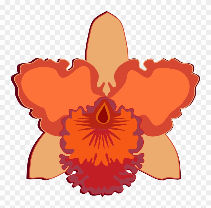 Cattleya Orchids Flowering Plant Moth Orchids Cut Flowers - Easy To Draw Cattleya Orchid #1709155