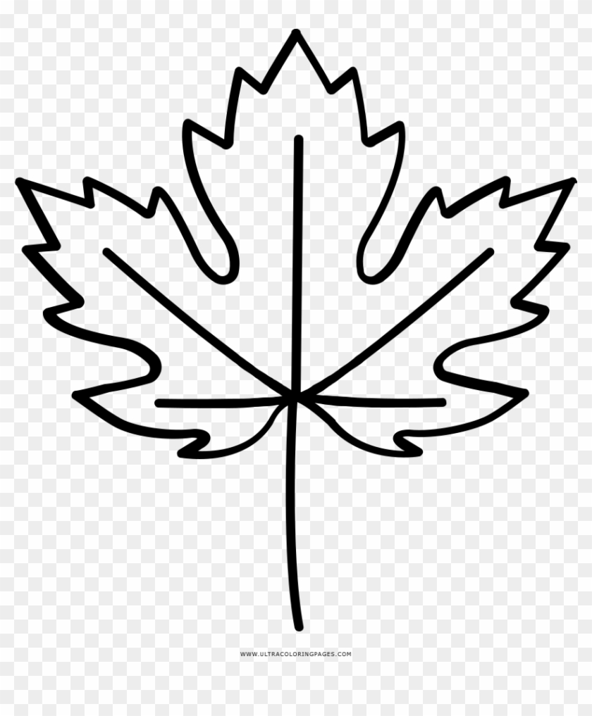 Maple Leaf Coloring Page With Ultra Pages - Line Art #1709251