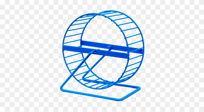 Transparent Hamster Wheel #1709283