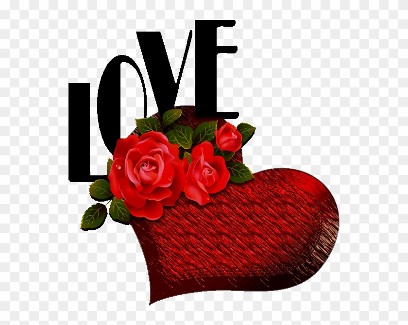 To My Dear Joe♡♡♡, Love You♡ - Love Red Rose Flowers #1709298
