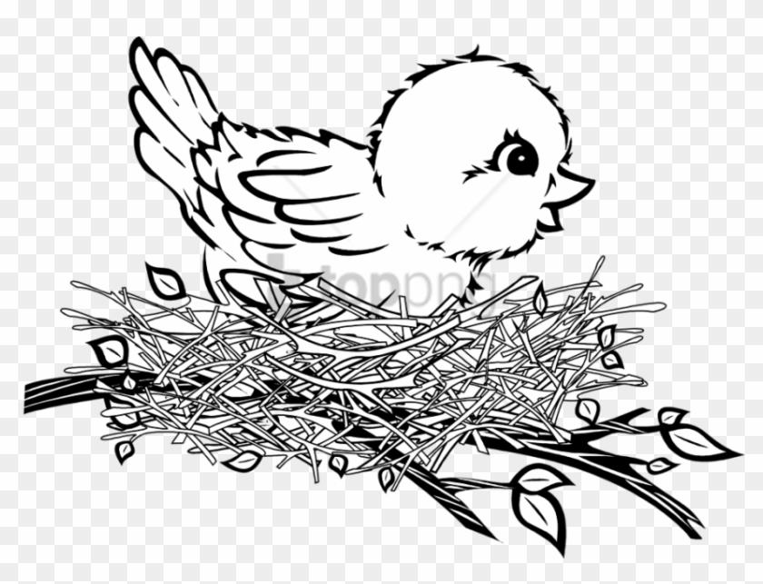Free Png Download Bird In Nest Png Images Background - Bird In Nest Black And White #1709384