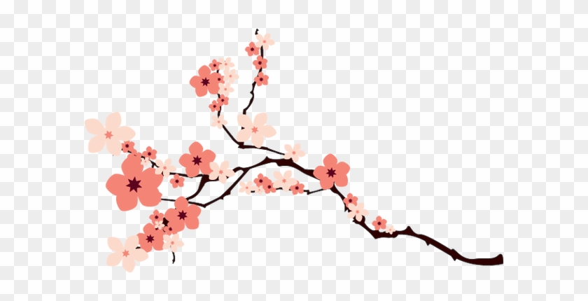 Cherry Blossom Vector Png #1709470