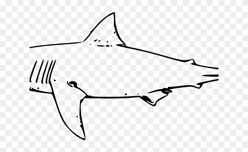 Shark Clipart Watercolor - Shark Drawing Black And White #1709616