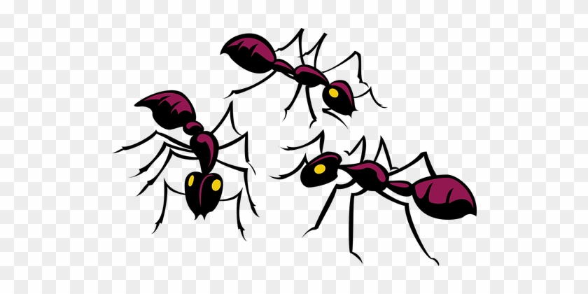 Ants, Three, Insects, Group, Bug, Team - Ants Clipart #1709641