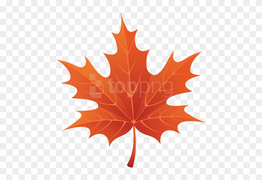 Free Png Download Autumn Leaves Clipart Png Photo Png - Autumn Leaf Png Clipart #1709720