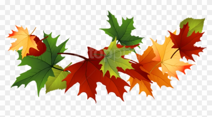 Free Png Download Fall Transparent Leaves Clipart Png - Transparent Fall Leaves Clip Art #1709721