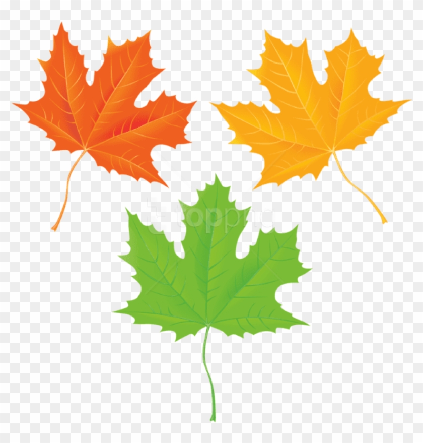 Free Png Download Autumn Leaves Transparent Clipart - Clip Art #1709725