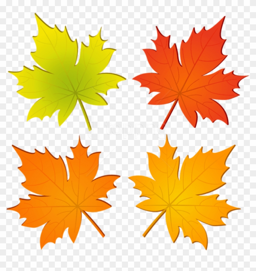 Free Png Download Set Of Autumn Leaves Png Clipart - Maple Leaf #1709727