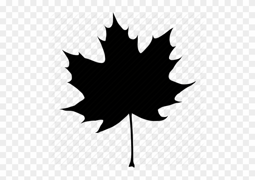 Fall Leaf Icon Clipart Computer Icons Autumn Leaf Color - Maple Leaf #1709728