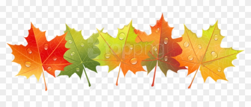Free Png Download Autumn Leaves With Dew Drops Clipart - Осенние Листья Картинки Без Фона #1709739