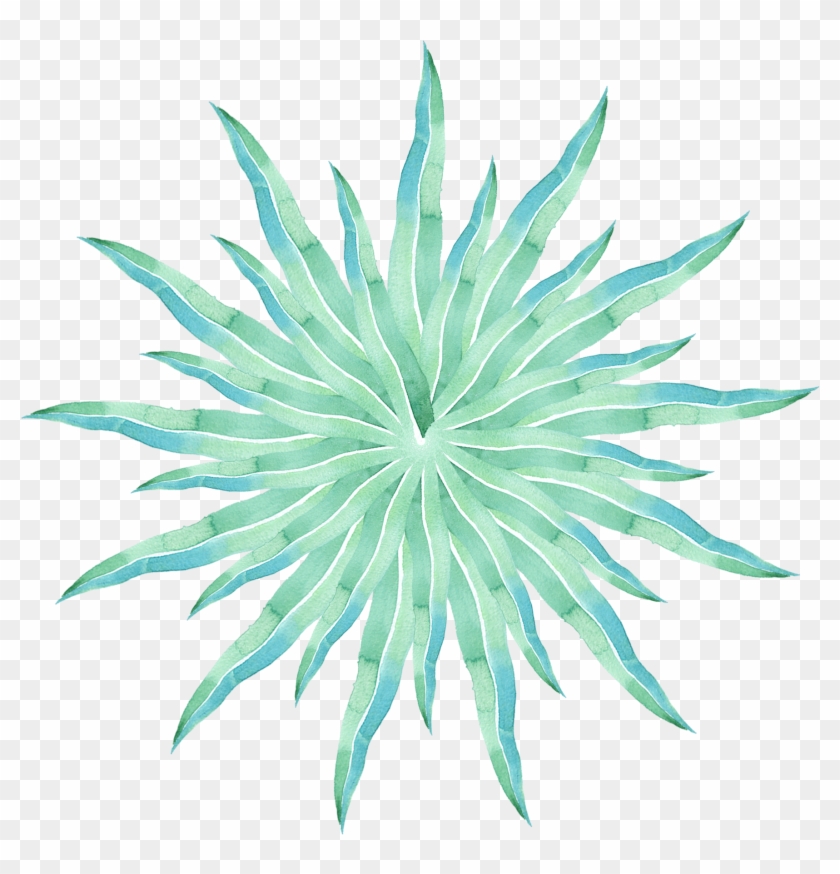 Simple Creative Stylish Watercolor Png And Psd - Agave Azul #1709810