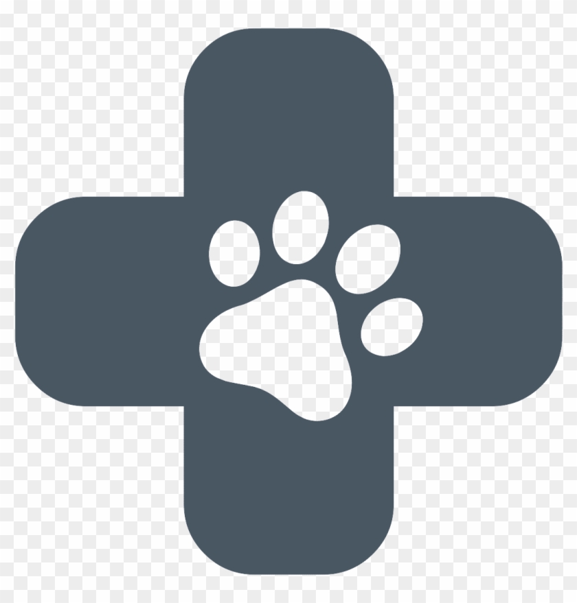 Allergy Friendly Therapy Dogs - Aloe Vera #1710056