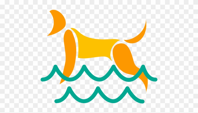 Hydrotherapy In An Underwater Treadmill - Hydrotherapy In An Underwater Treadmill #1710065