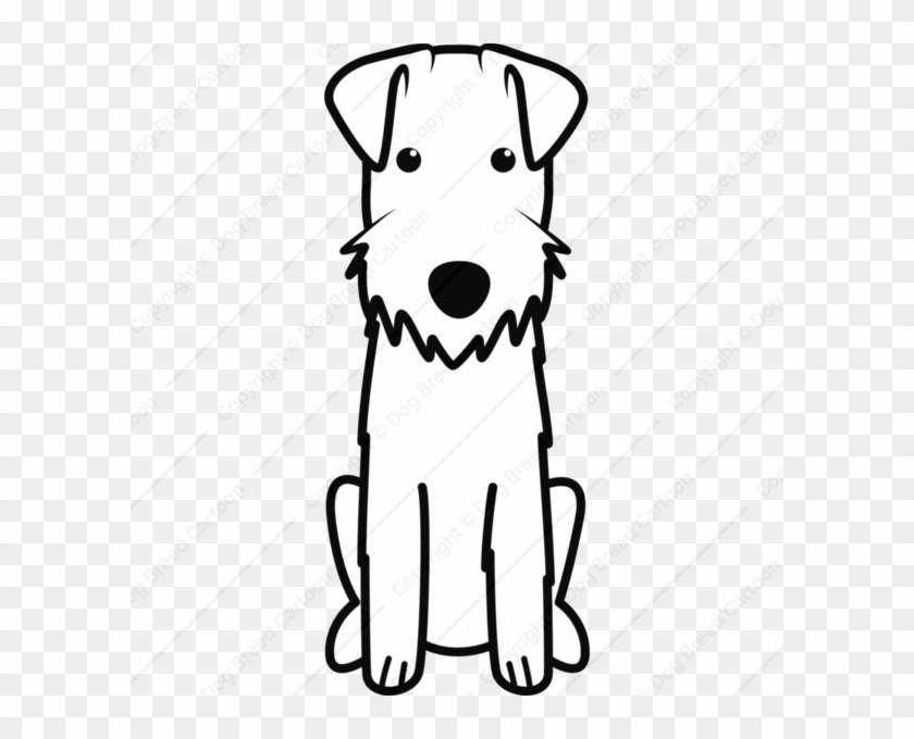600 X 600 1 - Lakeland Terrier Drawing #1710128