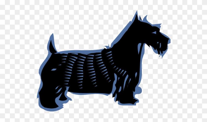 Scottish - Companion Dog #1710133