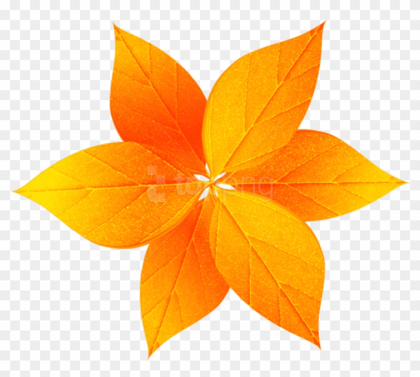 Free Png Download Fall Leaves Decoration Clipart Png - Maple Leaf #1710253