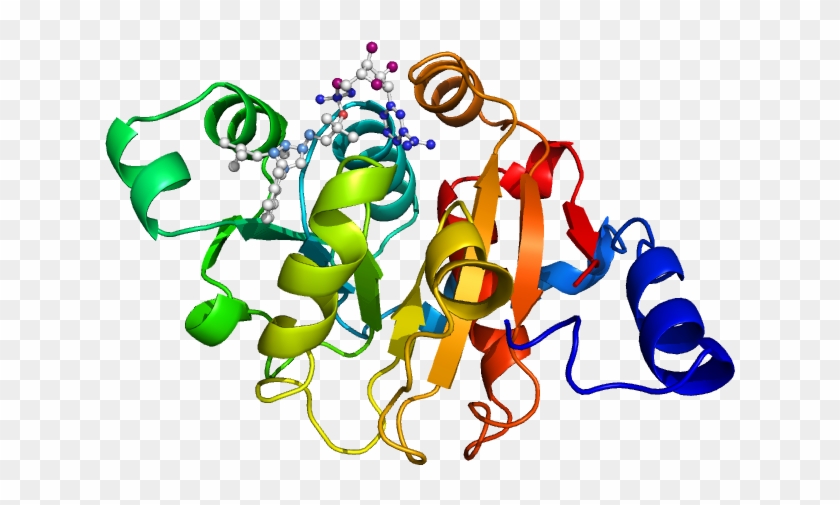 Amy Mcbay Ive Been A Busy Girl Ⓒ - Экспрессия Генов #1710313